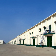 Central grain Depot, Texas